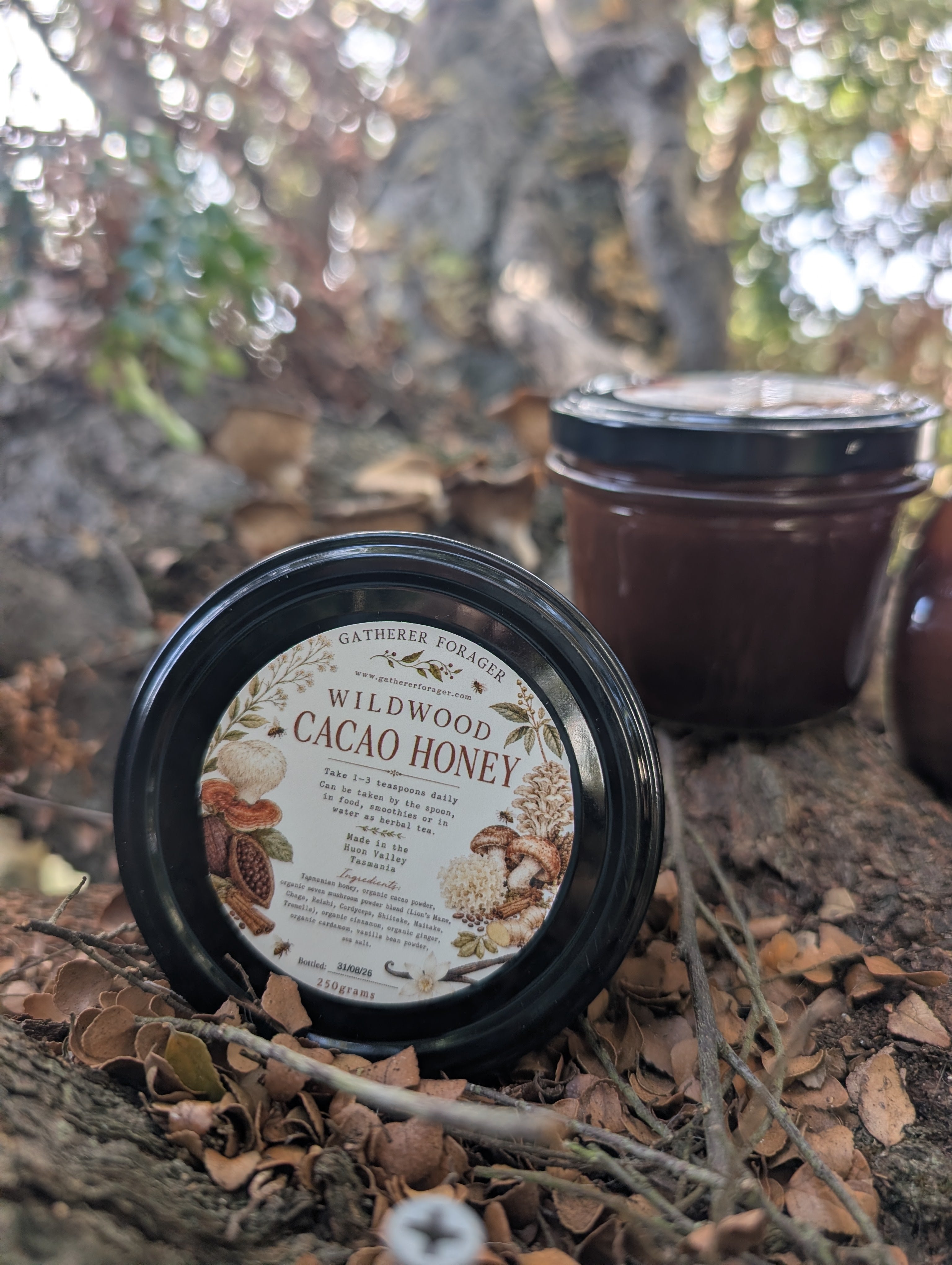 Medicinal mushroom cacao honey 