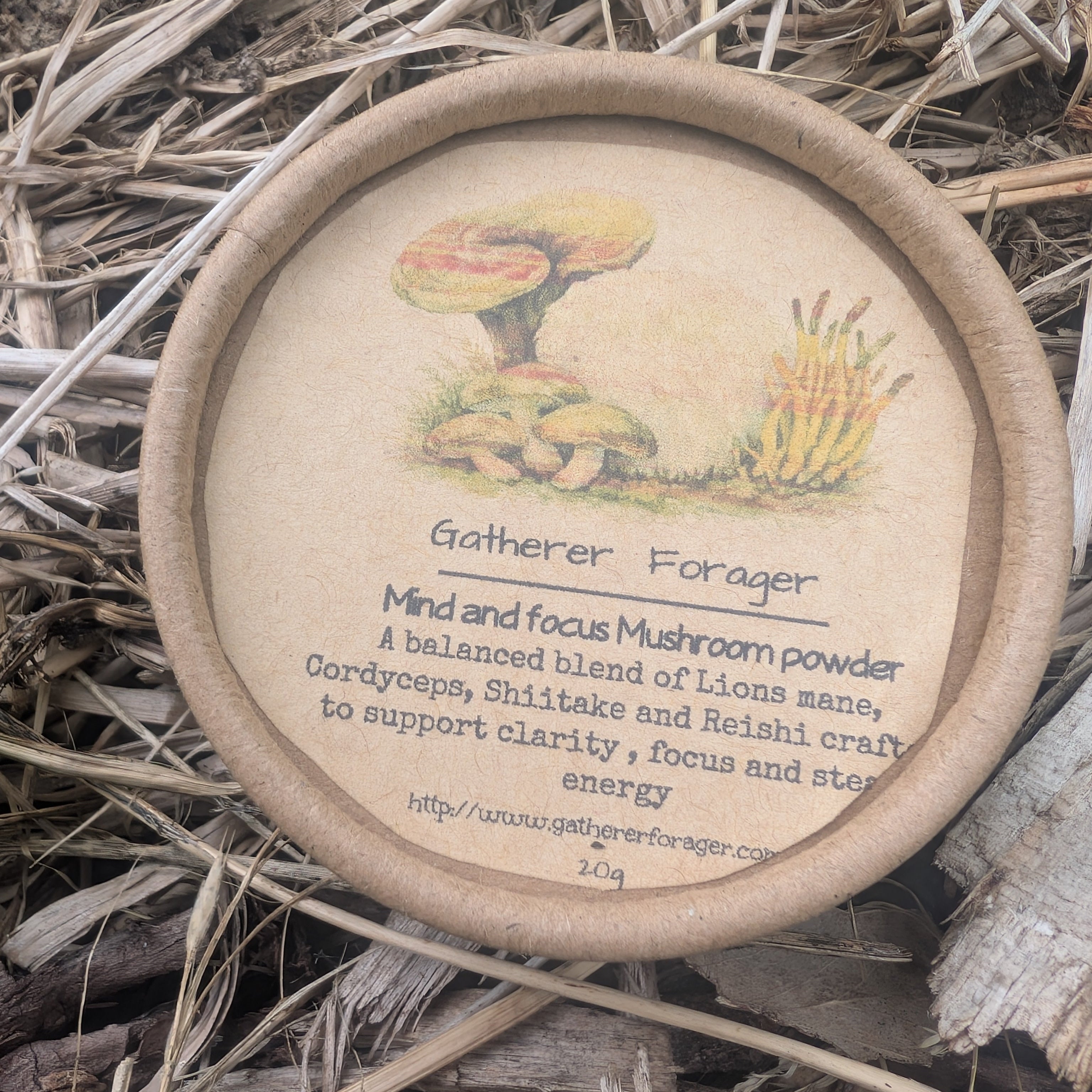 Natural energy boost mushroom powder 