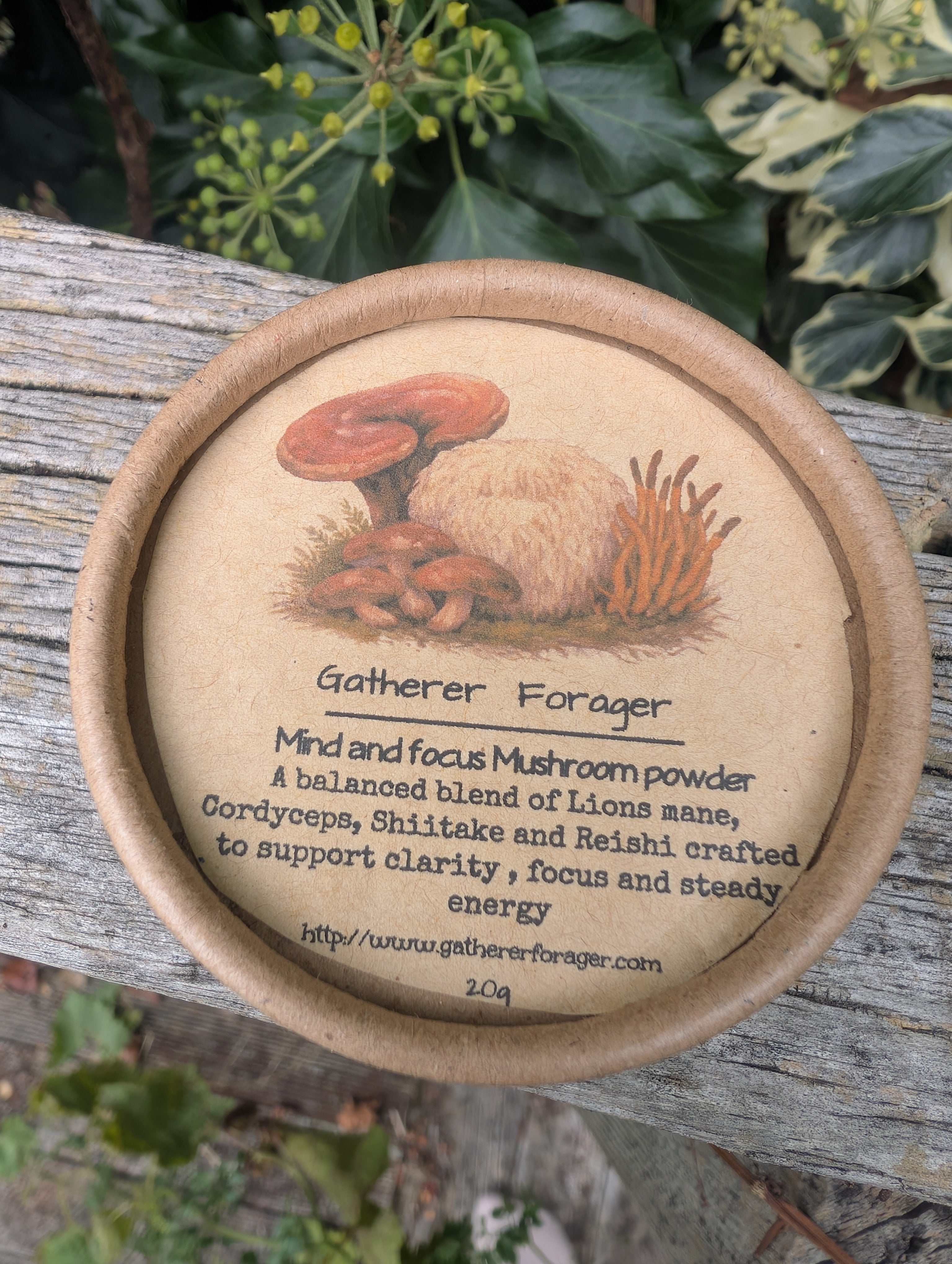 Mushroom powder for energy and immunity cardboard container with botanical illustration and text on a wooden surface with plants in the background