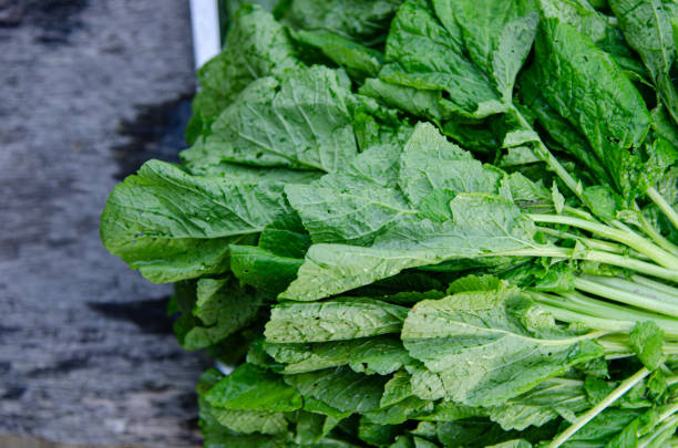 Mustard Gai choi