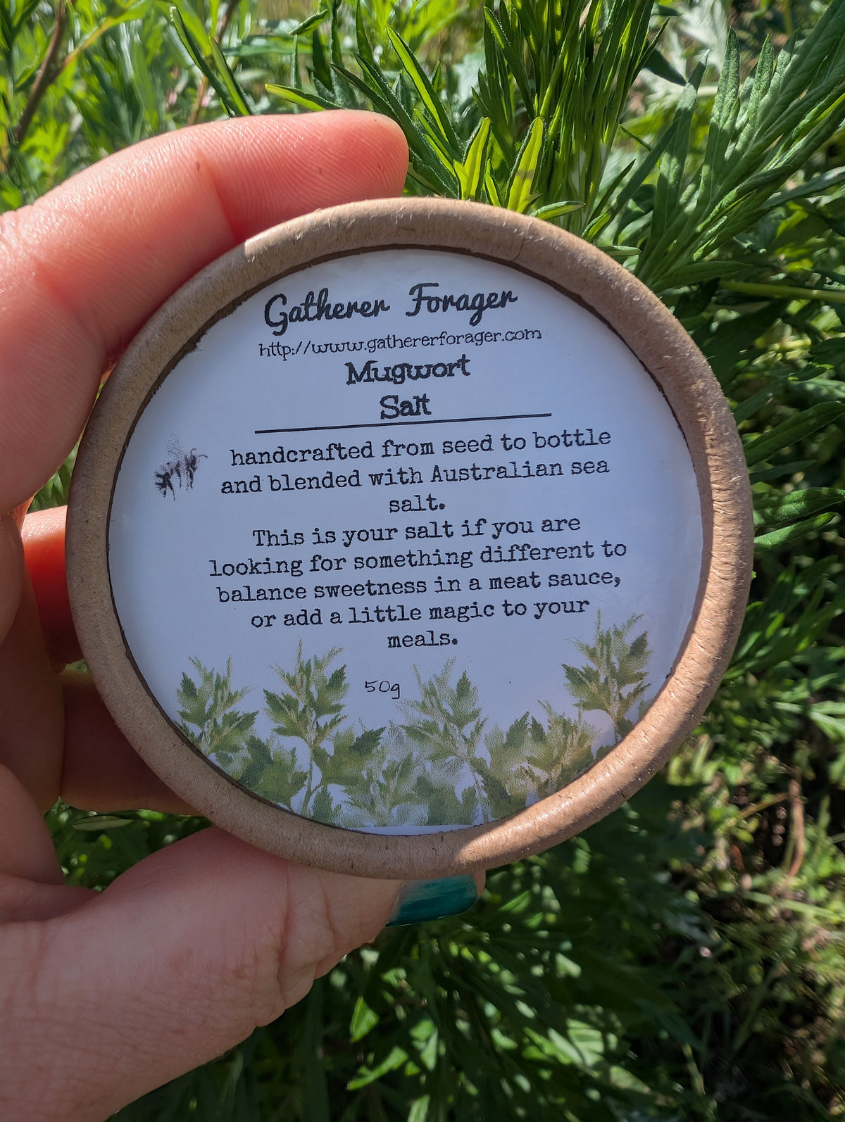 Mugwort salt  Main image