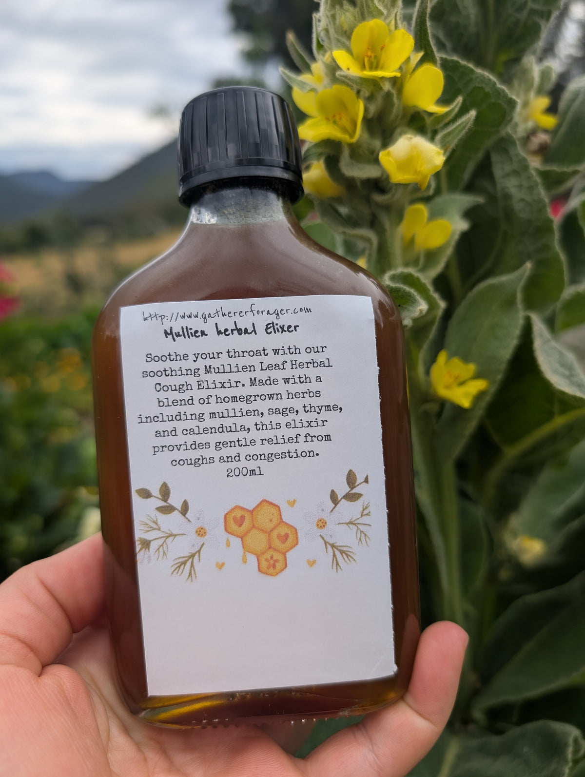 Mullein Respiratory elixir Main image