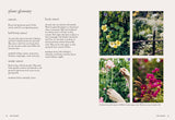 Seeds by Milli Proust