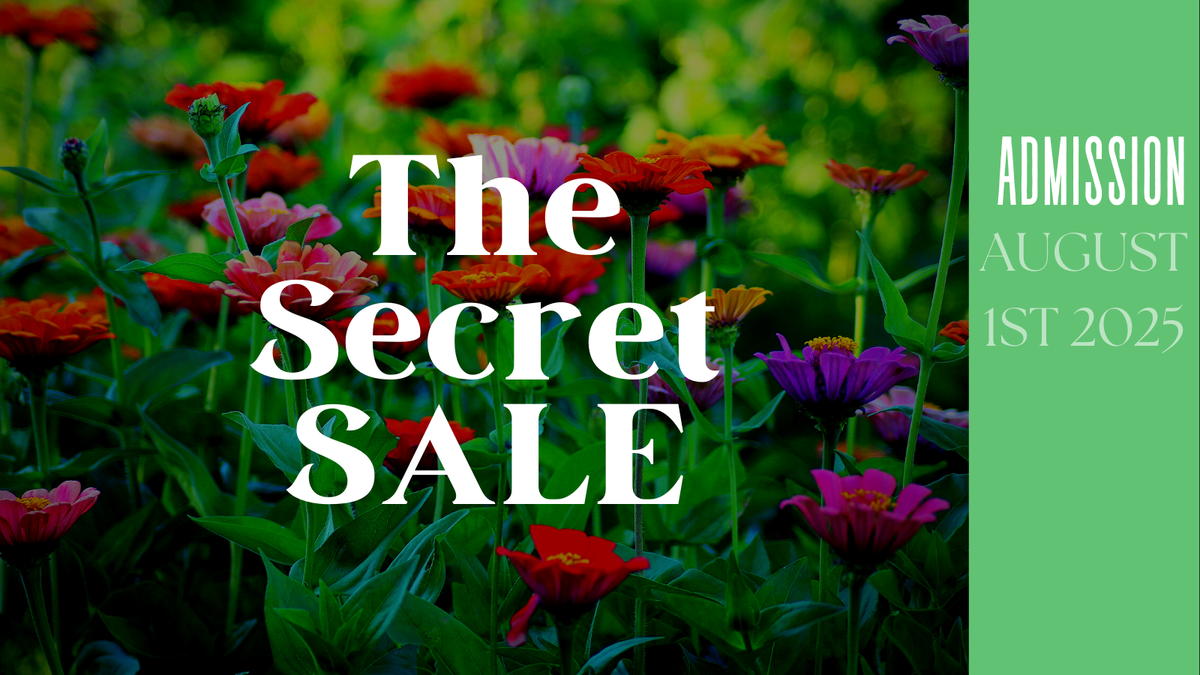 Secret sale Mystery seed 5 pack