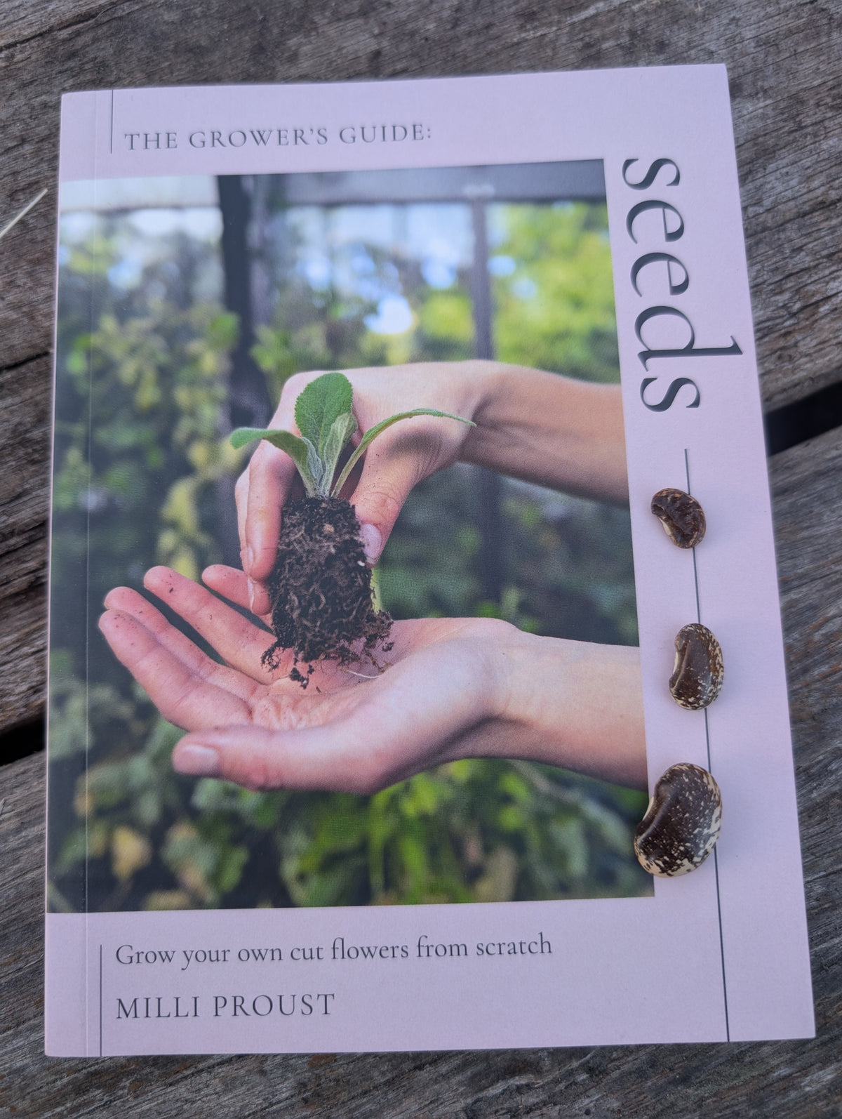 Seeds by Milli Proust Main image