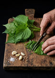 Shiso perilla green