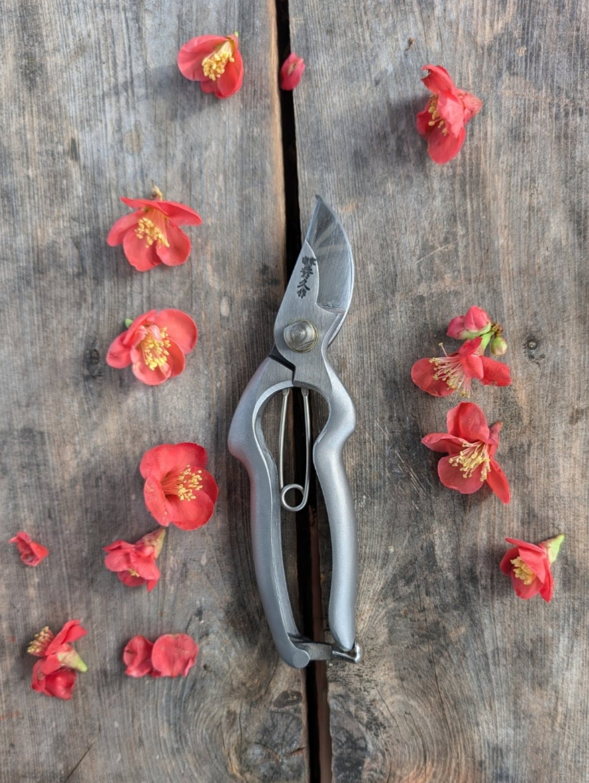 Handmade Stainless steel Secateurs