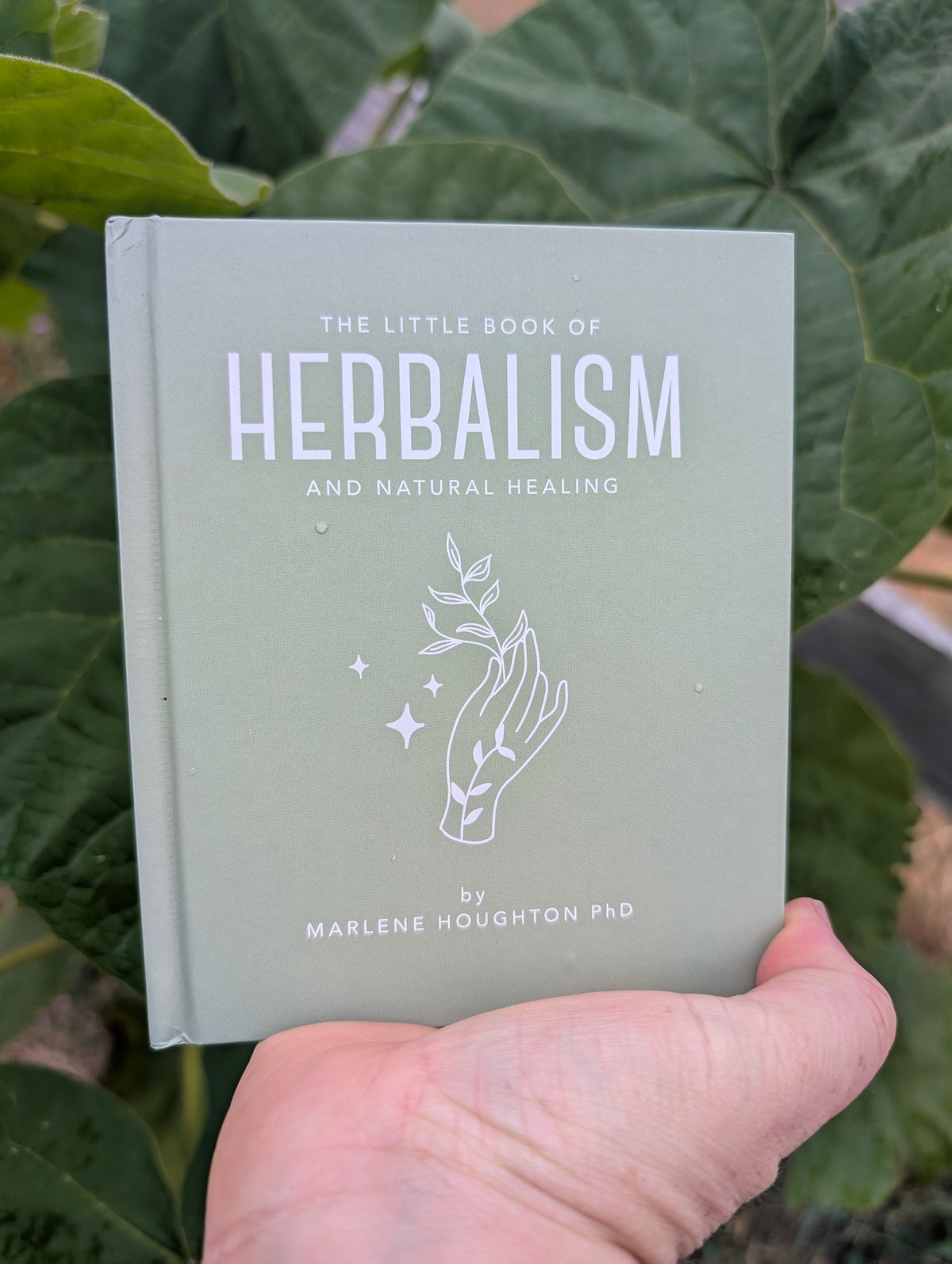 Herbalism books Australia Main image