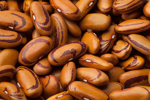 Tigers Eye bean seeds