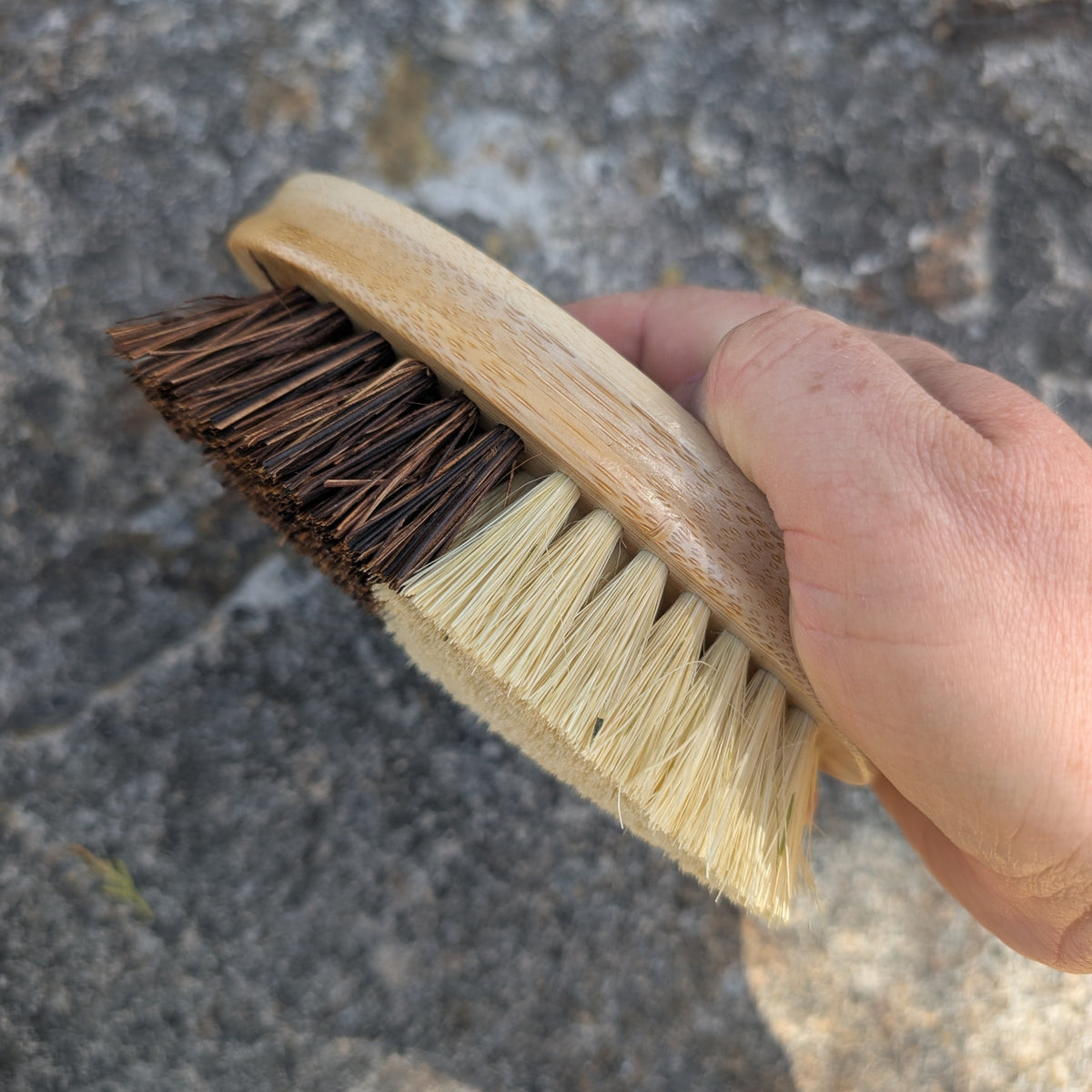 Eco friendly vegetable scrubbing brush 