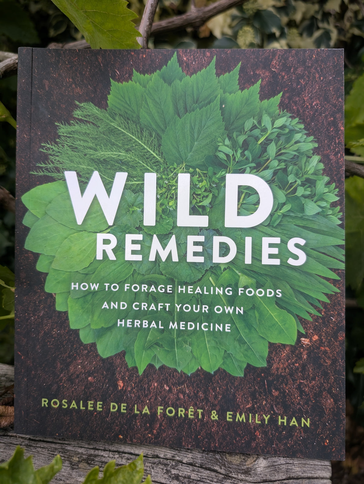 Wild remedies Main image