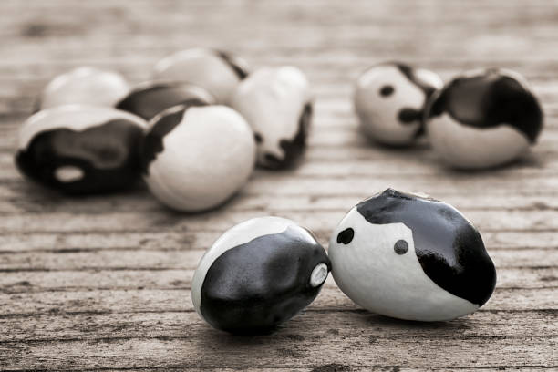 Ying Yang Beans
