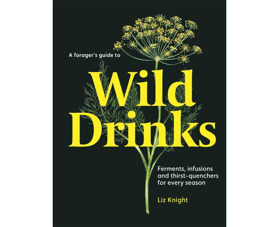 A Forager's Guide to Wild Drinks - Ferments, Infusions, and Thirst-Quenchers for Every Season by Liz Knight Main image