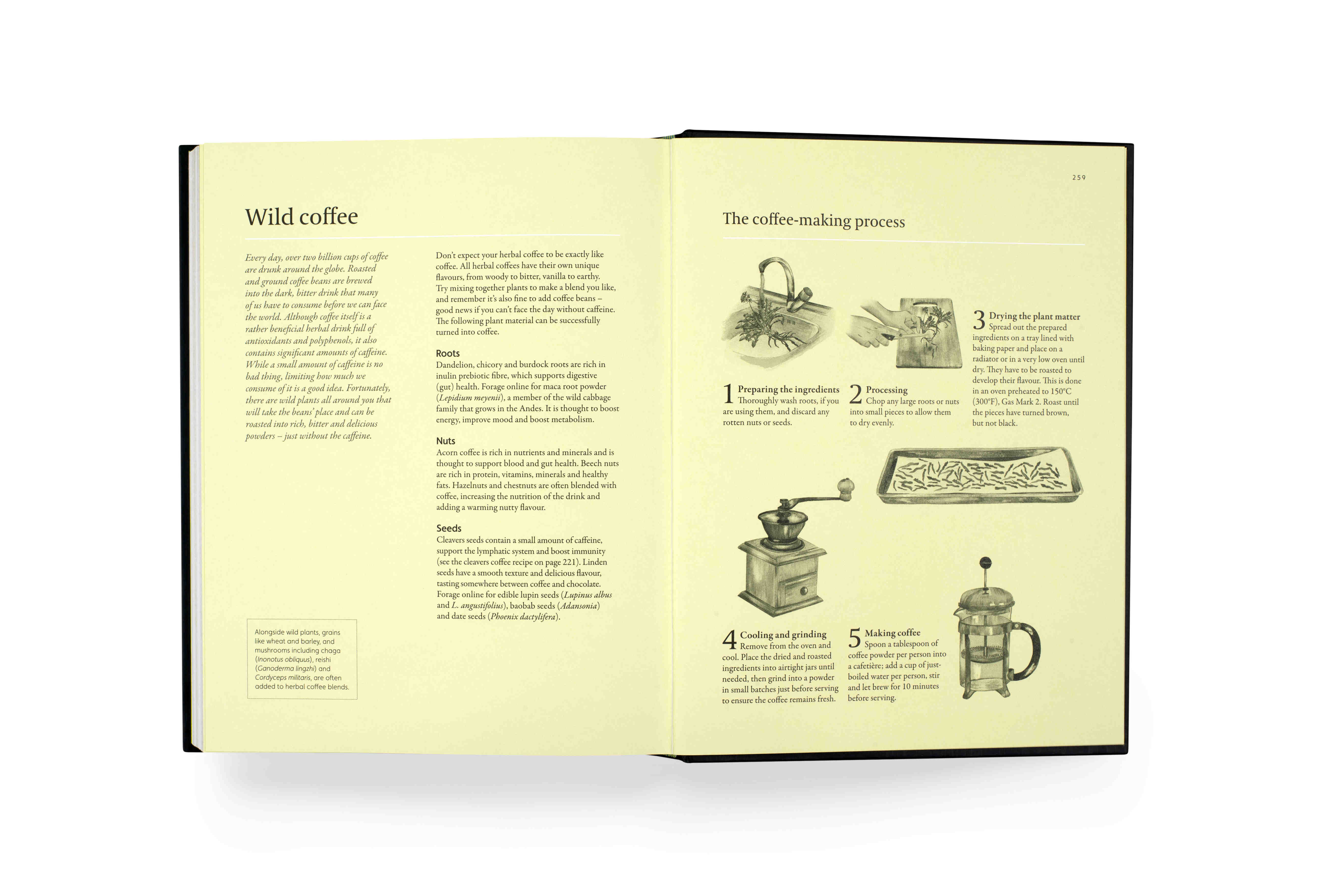 A Forager's Guide to Wild Drinks - Ferments, Infusions, and Thirst-Quenchers for Every Season by Liz Knight Secondary image