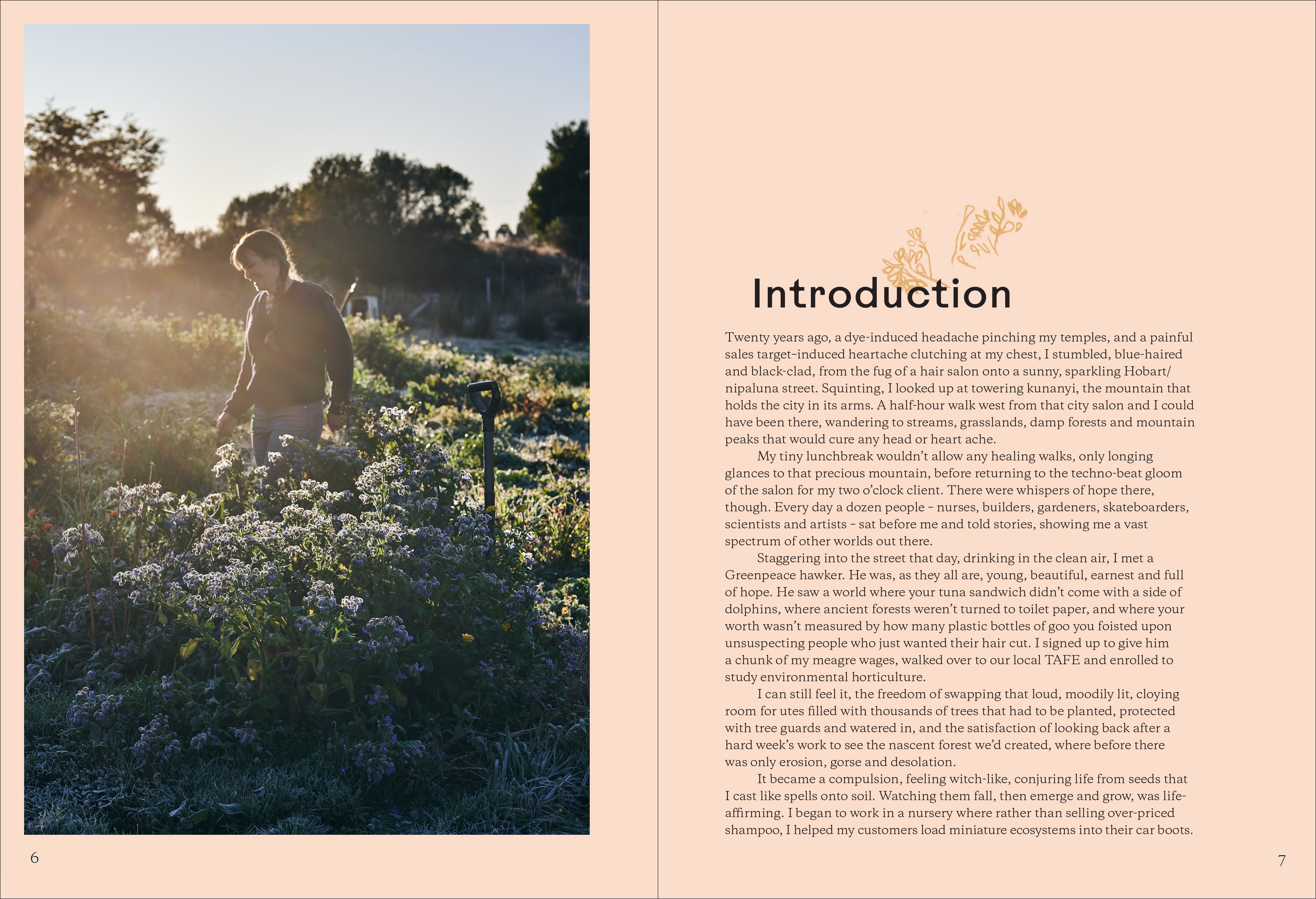 Broccoli & Other Love Stories Notes and recipes from an always curious, often hungry kitchen gardener By: Paulette Whitney Secondary image