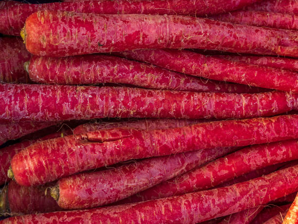 Atomic red carrot seeds 