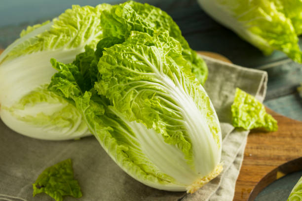 chinese cabbage wombok seeds Secondary image