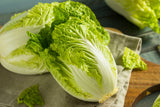 chinese cabbage wombok seeds