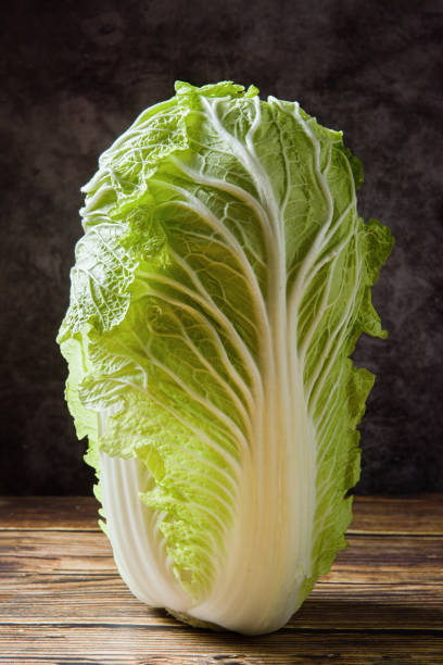 chinese cabbage wombok seeds