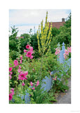 The cottage garden