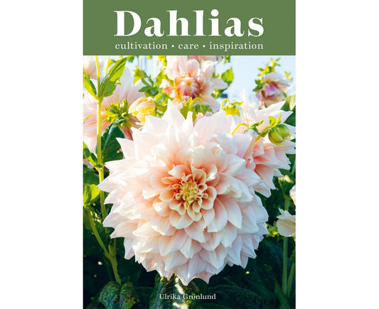 Dahlias – 222 Varieties & Expert Growing Guide by Ulrika Grönlund