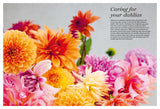 Dahlias – 222 Varieties & Expert Growing Guide by Ulrika Grönlund