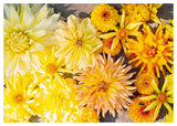 Dahlias – 222 Varieties & Expert Growing Guide by Ulrika Grönlund
