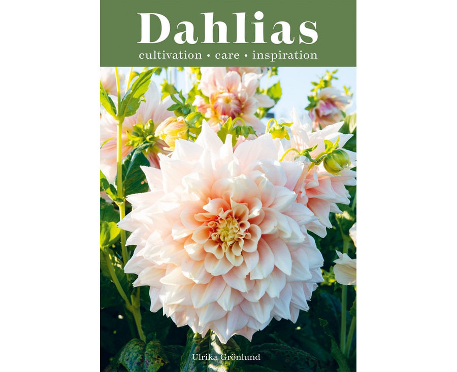 Dahlias – 222 Varieties & Expert Growing Guide by Ulrika Grönlund