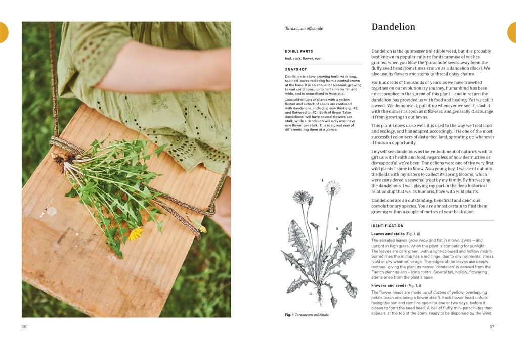 Eat Weeds A field guide to foraging: How to identify, harvest, eat and use wild plants By: Diego Bonetto