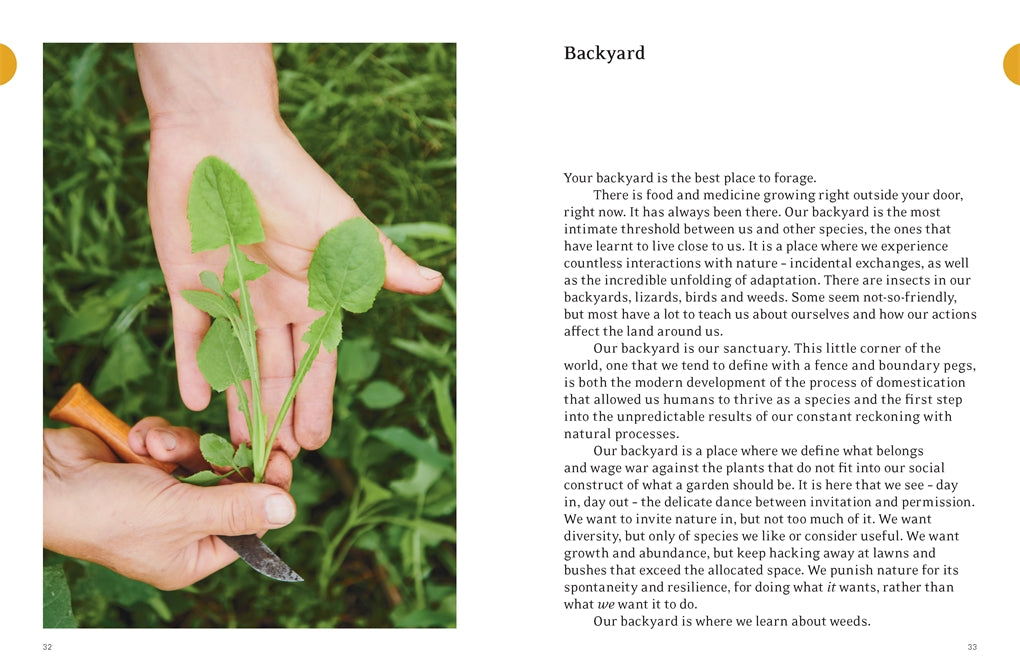 Eat Weeds A field guide to foraging: How to identify, harvest, eat and use wild plants By: Diego Bonetto