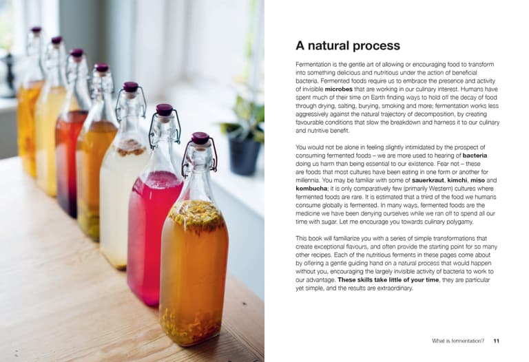 Ferment: From Scratch by Mark Diacono