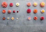 Floret Farm's Discovering Dahlias Book | Dahlia Growing & Arranging Guide