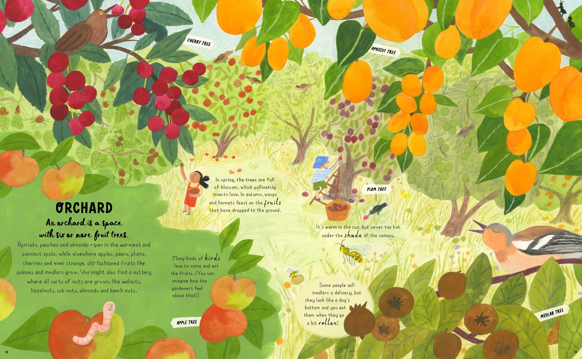 How to Grow a Garden Find a Plant for Every Place By: Frances Tophill, Charlotte Ager (Illustrator) Secondary image