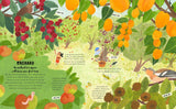 How to Grow a Garden Find a Plant for Every Place By: Frances Tophill, Charlotte Ager (Illustrator)