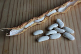 Lazy housewife bean seeds