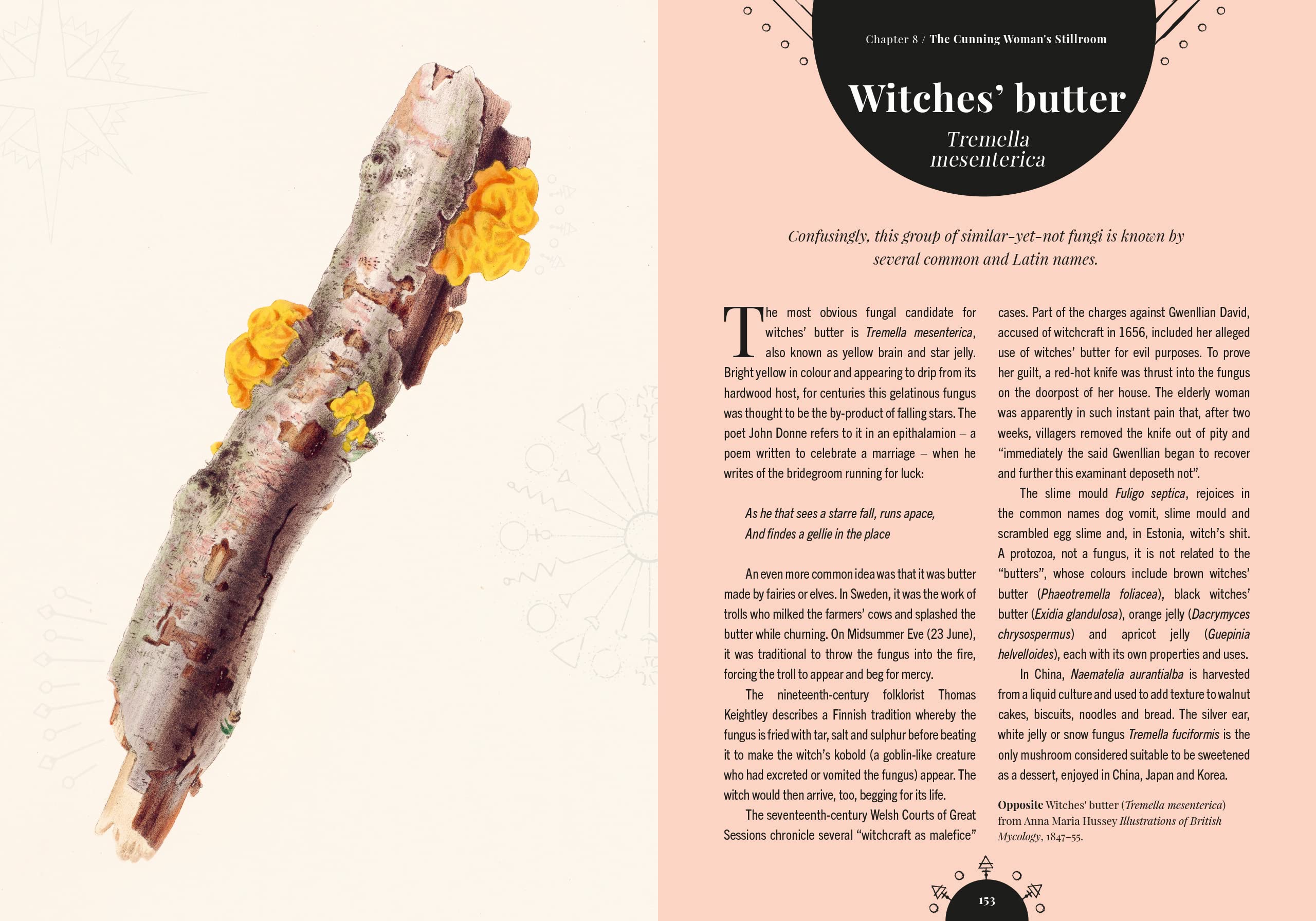 The Magic of Mushrooms (Kew Gardens) Fungi in folklore, science and the occult Secondary image