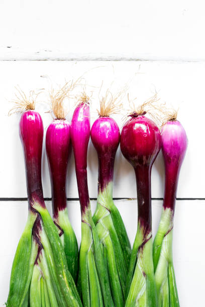 Onion Bunching red beard