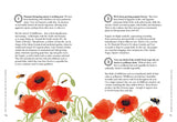 Planting Wildflowers A Grower's Guide By: Jane Moore