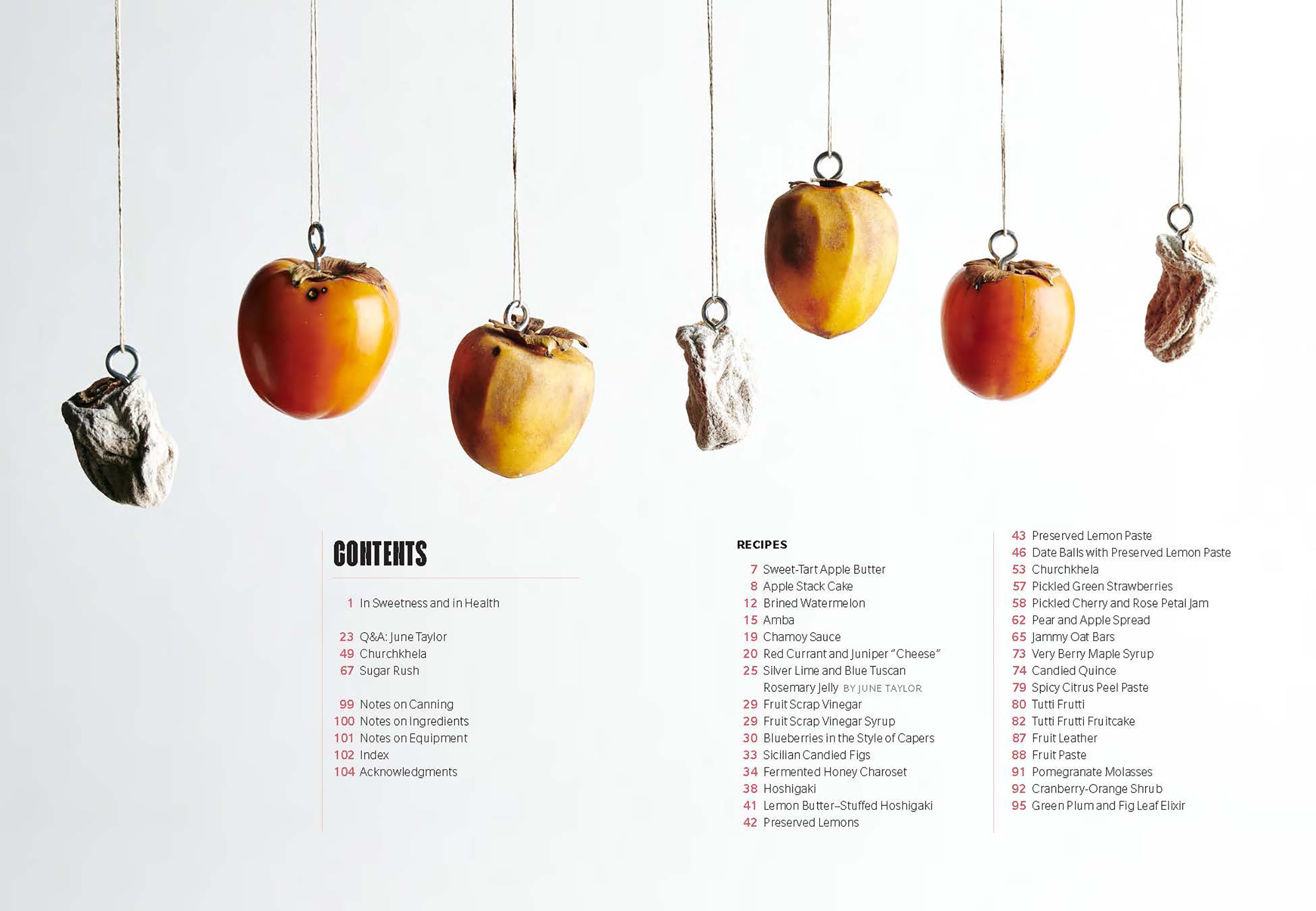 Preserved: Fruit 25 Recipes By: Darra Goldstein, Cortney Burns, Richard Martin Secondary image