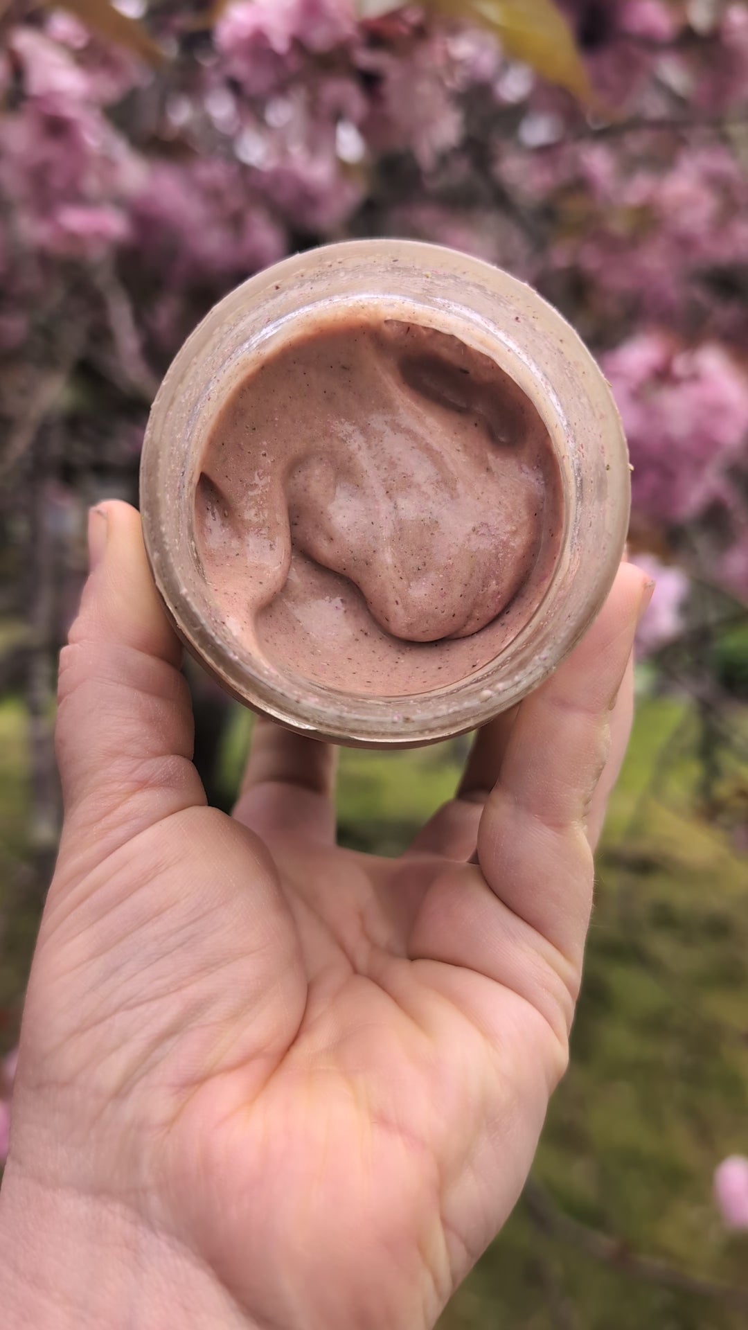 Sakura cherry blossom honey