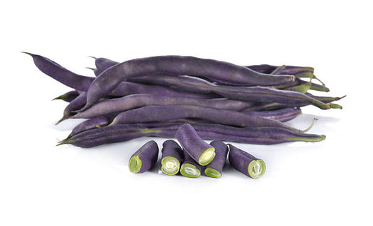 Purple King Bean