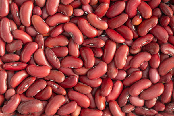 Red Hidasta climbing bean seed Main image