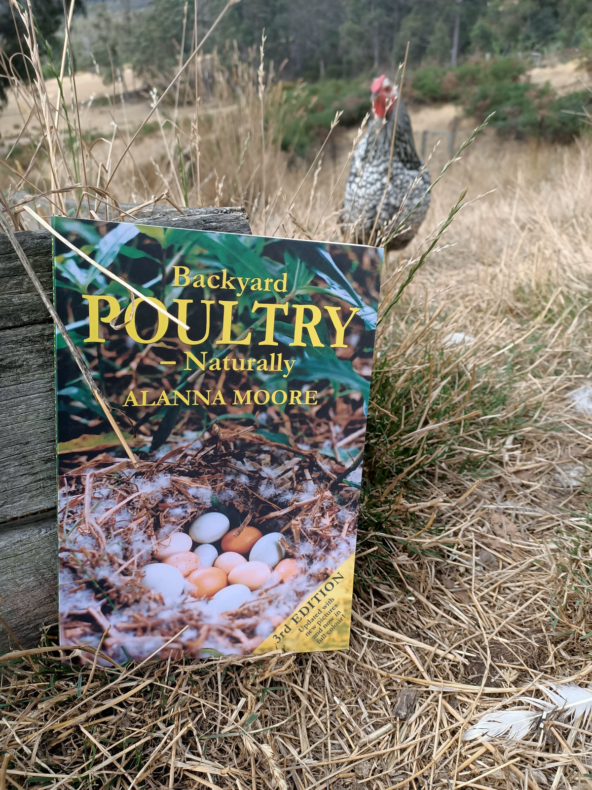 Backyard Poultry - Naturally By: Alanna Moore Main image