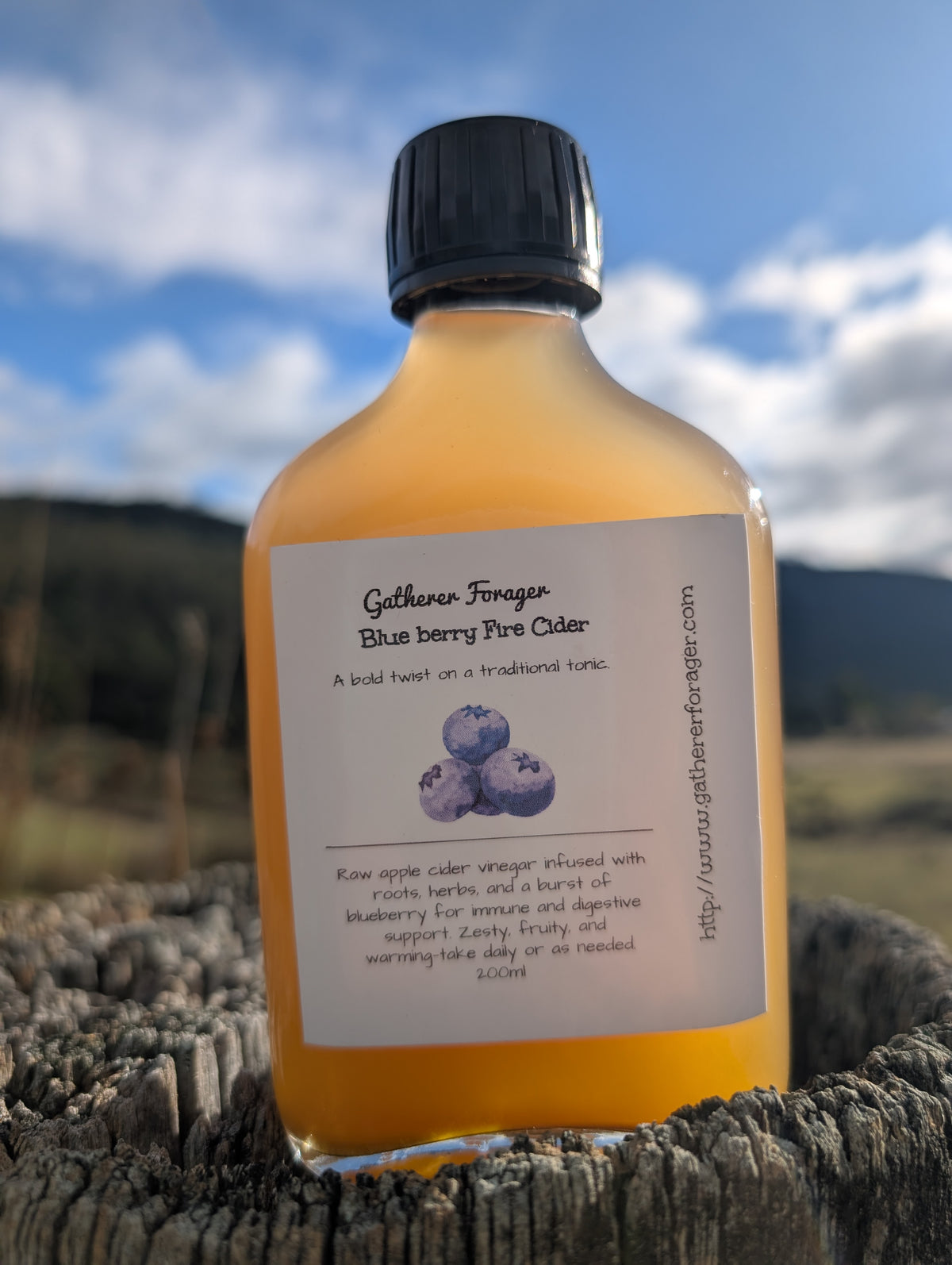 Blueberry fire cider vinegar Main image