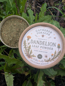 Organic Dandelion Leaf Powder