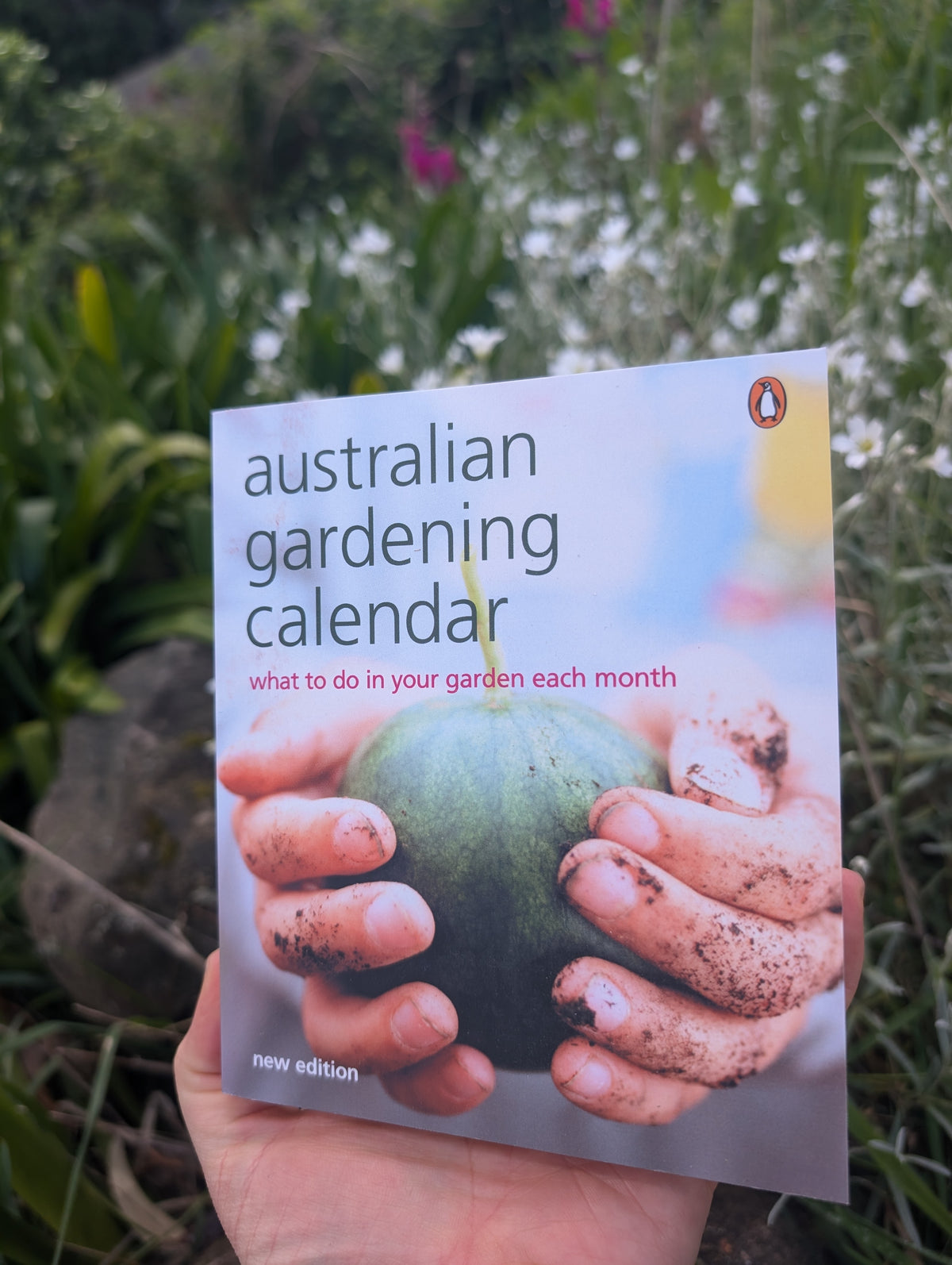 Australian Gardening Calendar What to do in Your Garden Each Month Main image
