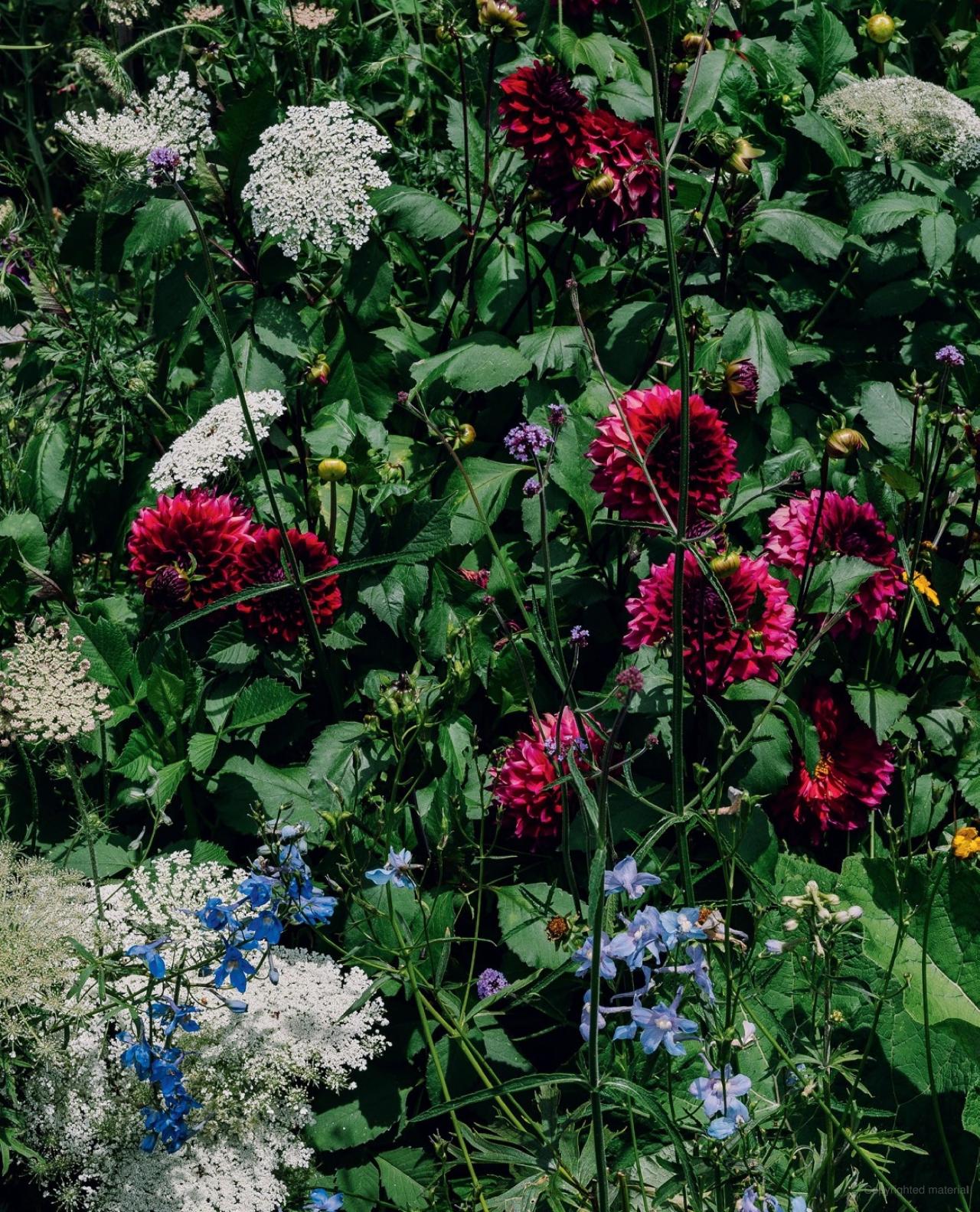 The Super Bloom Handbook Maximum flowers. Minimum effort. By: Jac Semmler