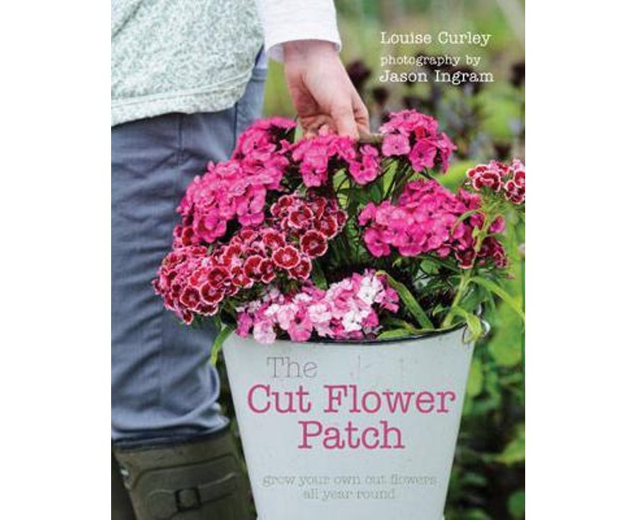 The cut flower patch Louise Curley Main image