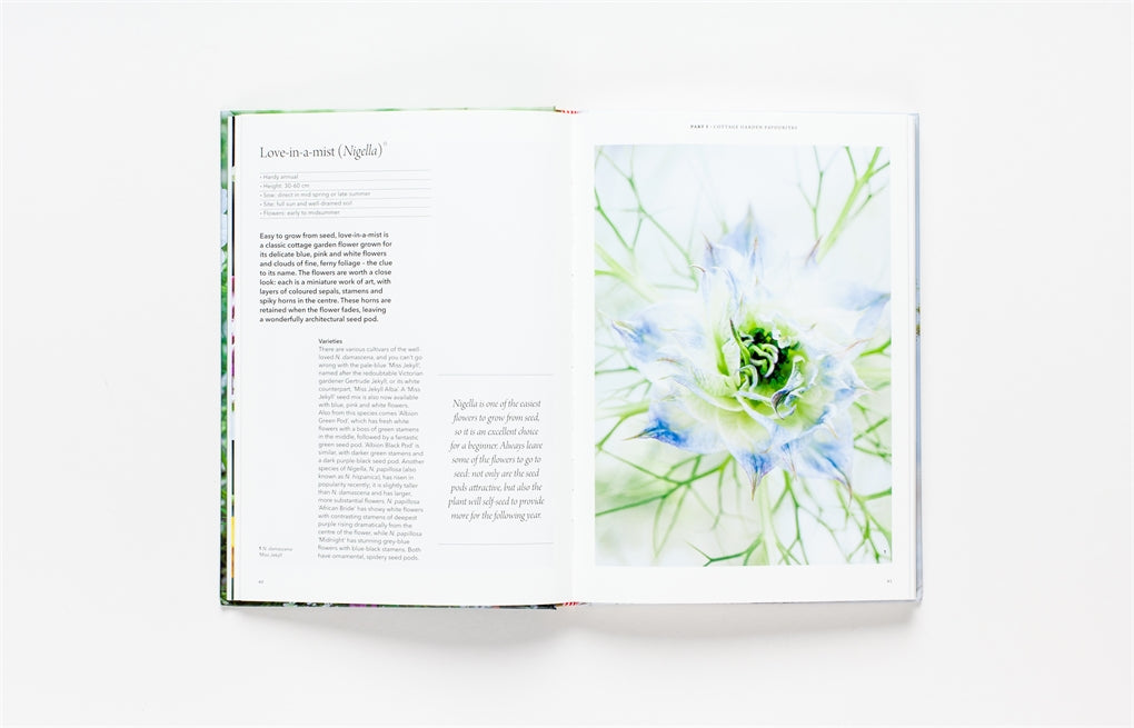 The Flower Garden How to Grow Flowers from Seed By: Clare Foster, Sabina Ruber