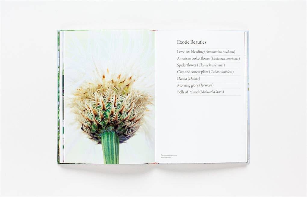 The Flower Garden How to Grow Flowers from Seed By: Clare Foster, Sabina Ruber